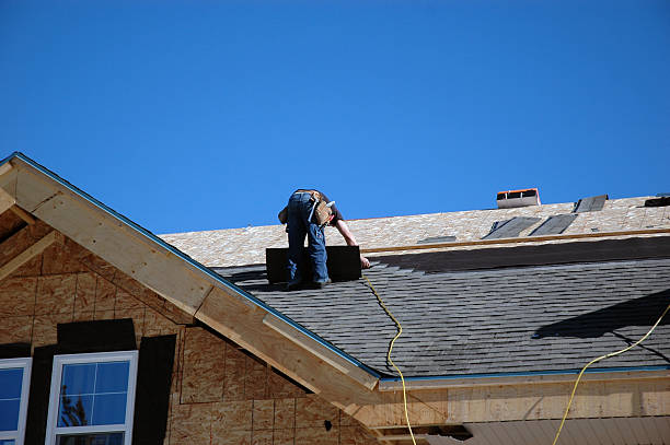 Best Storm Damage Roof Repair  in Maumee, OH