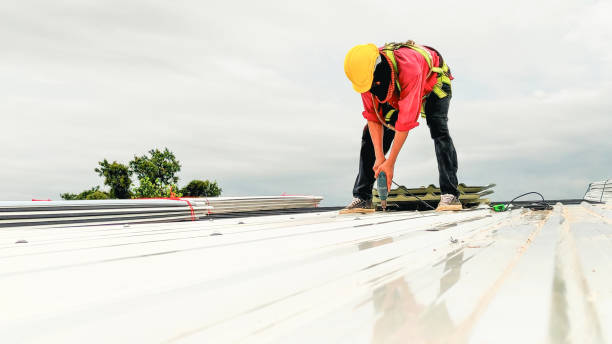 Best Roof Insulation Installation  in Maumee, OH
